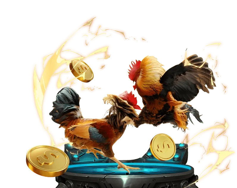 Cá cược bóng đá 98win 62